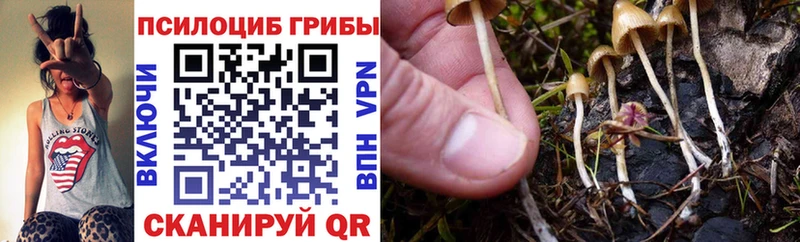 Галлюциногенные грибы MAGIC MUSHROOMS  blacksprut как зайти  darknet какой сайт  Ессентукская 